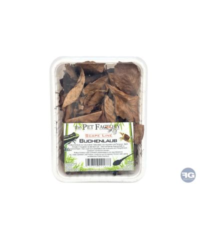 Feuilles de hêtre 1 L pour terrarium