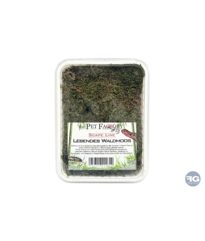 Mousse naturelle vivante pour terrarium 1 L