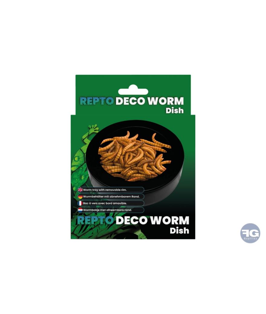 Gamelle à vers de farine Repto