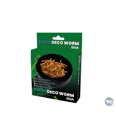 Gamelle à vers de farine Repto