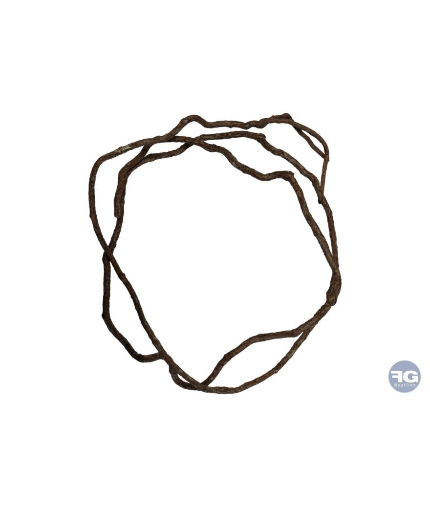 Liane naturelle 300cm Repto