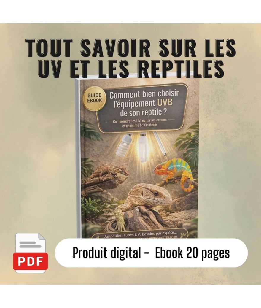 Ebook : Comment bien choisir l'éclairage UVB de son reptile ?