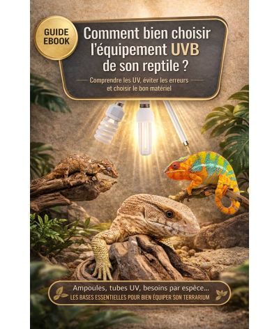 Ebook : Comment bien choisir l'éclairage UVB de son reptile ?