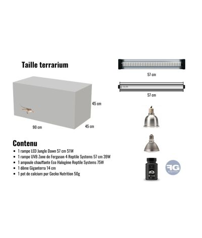 Pack technique terrarium pour Pogona