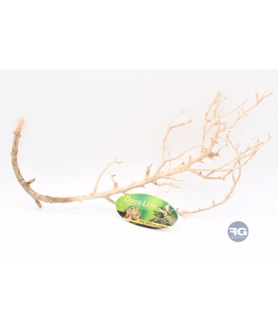 Branche fine blanchie - Lucky Reptile Coral Wood