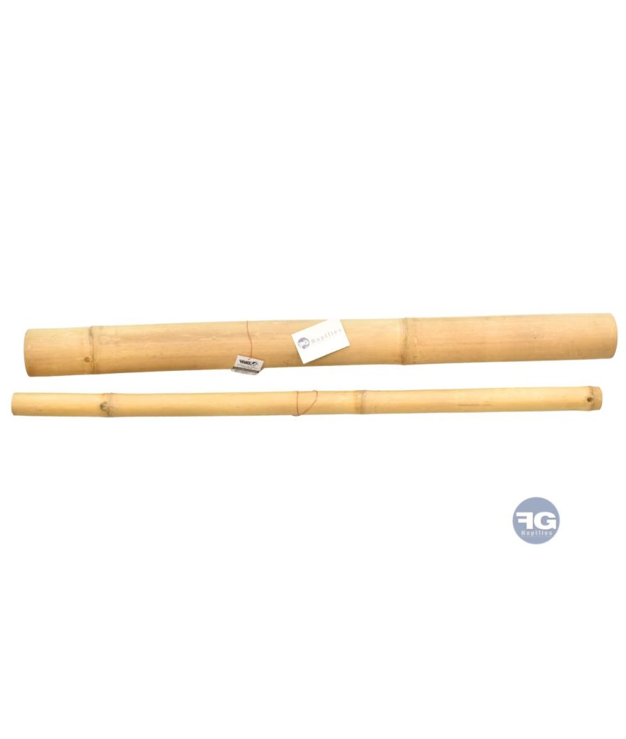 Tube de bambou naturel de 1 m