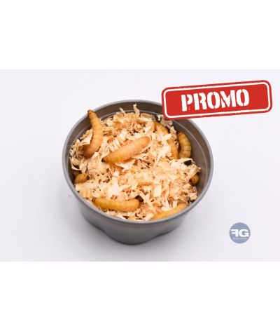 PROMO Teigne de ruche boite de 50 pièces
