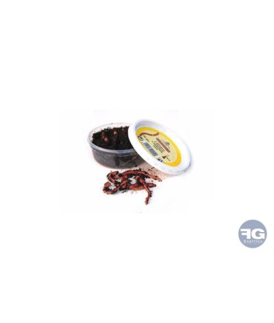 Vers De Terre Dendrobena M 12-15