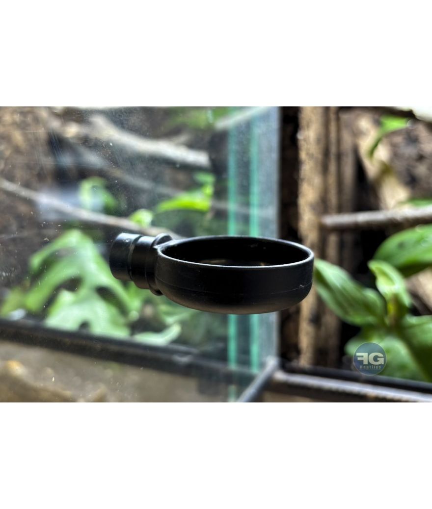 Gamelle adhésive aimantée - Gecko Nutrition