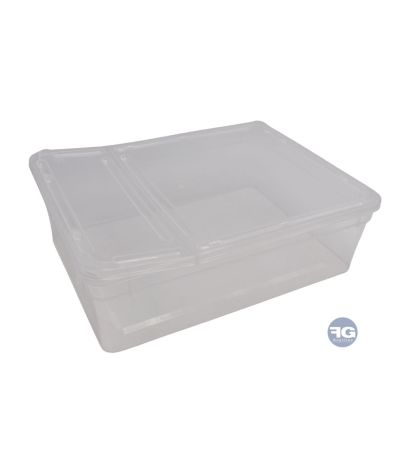 Boîte Braplast 3L transparente pour jeune reptile