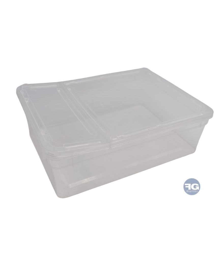 Boîte Braplast 3L transparente pour jeune reptile