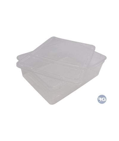 Boîte Braplast 3L transparente pour jeune reptile