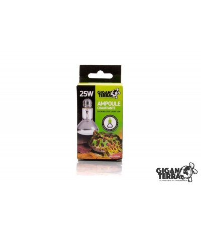 Ampoule chauffante 25W