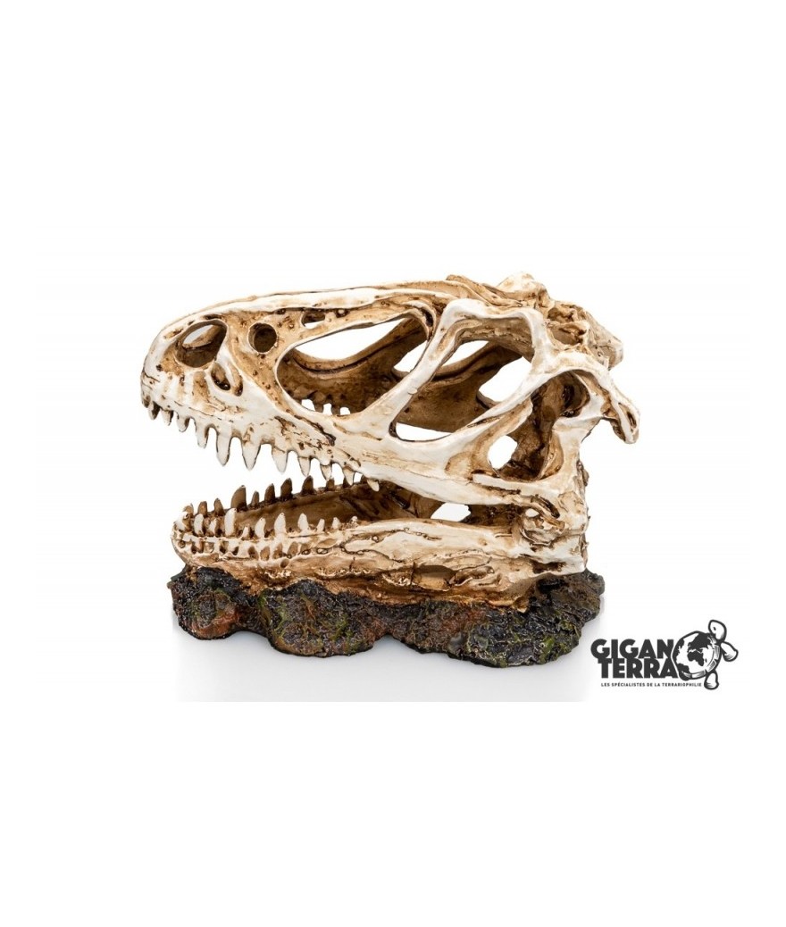 Socle dinosaure 3