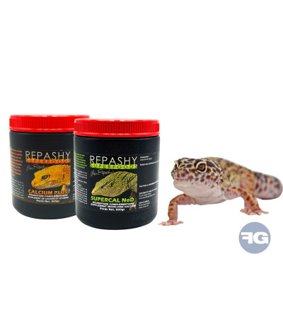 pack repashy gecko leopard xl