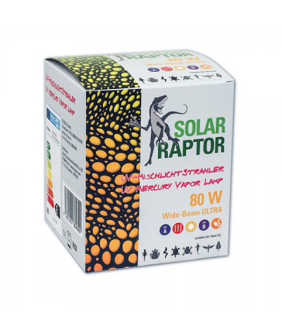 Solar Raptor 80W
