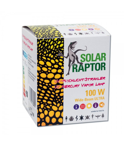 Solar Raptor 100W