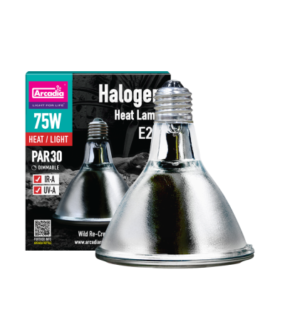 HALOGEN HEAT LAMP 75W