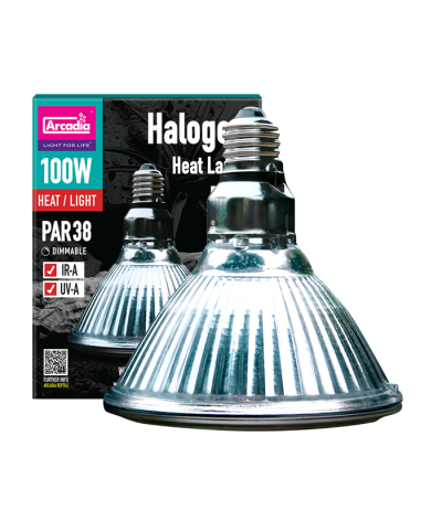 HALOGEN HEAT LAMP 100W
