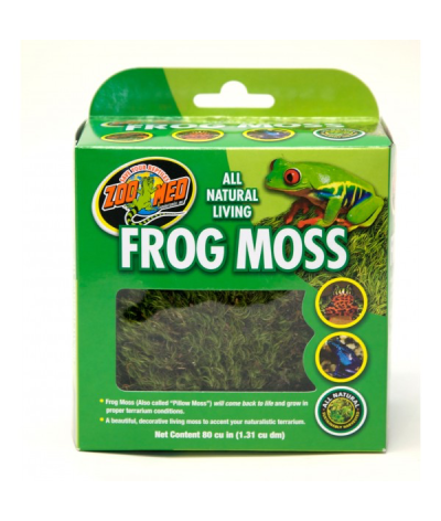 frog moss zoomed