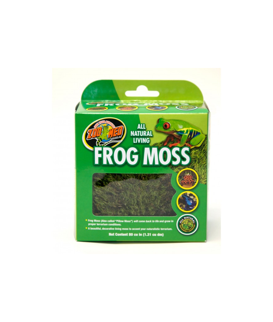 frog moss zoomed