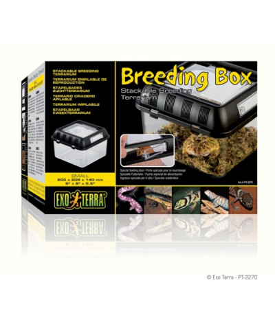 Breeding Box S Exo Terra 20,5x20,5x14cm