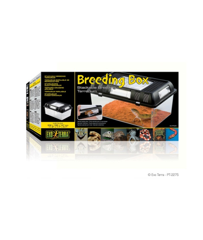 Breeding Box M Exo Terra 30,2x19,6x14,7cm