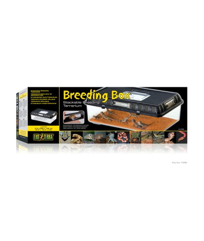 Breeding Box L Exo Terra 41,5x26,5x14,8cm