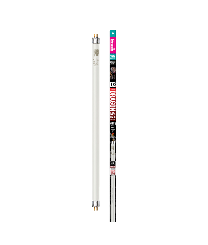 Tube UVA/UVB T5 D3+ Dragon 14% - Arcadia
