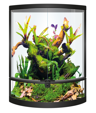 Terrarium Repto Terra Half Moon