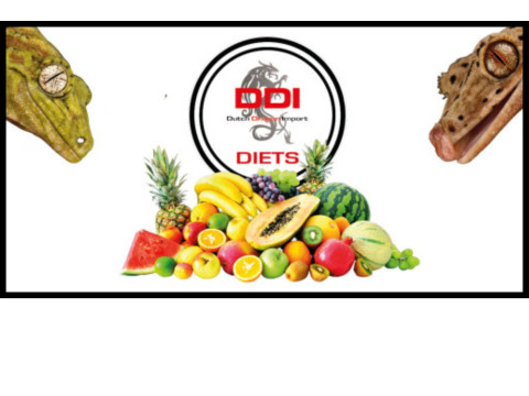 DDI Diets, Alimentation pour gecko à crête - FG reptiles