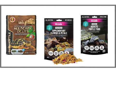 Aliments pour tortues