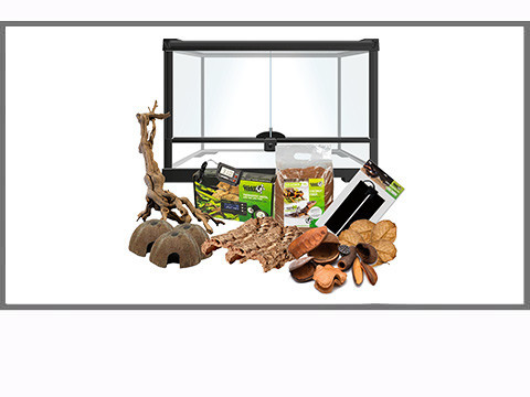 Kit terrarium