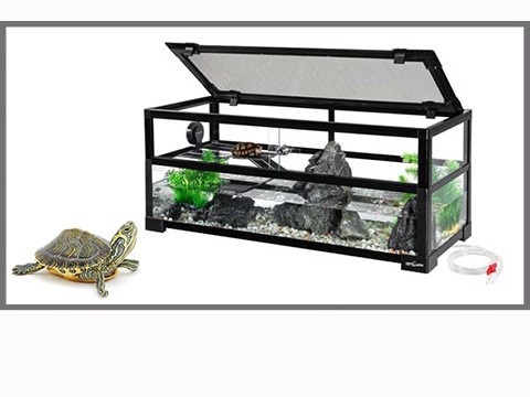 Terrarium pour tortue