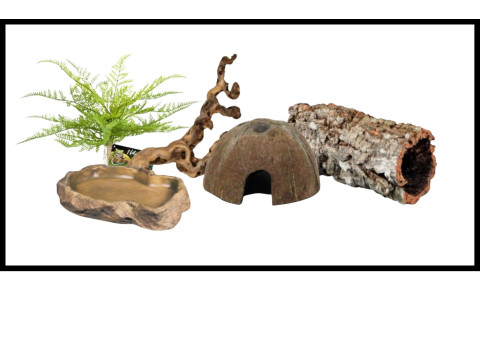 Décoration pour terrarium | Plantes, racines, décors en résine | FG reptiles