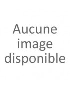 Terrarium pour tortue