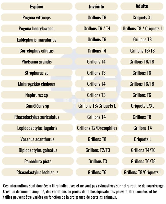 Tableau de taille de proie en fonction de l'espèce