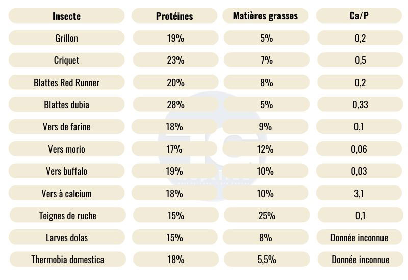 Tableau de données nutritionnelles des insectes proposés aux lézards domestiques