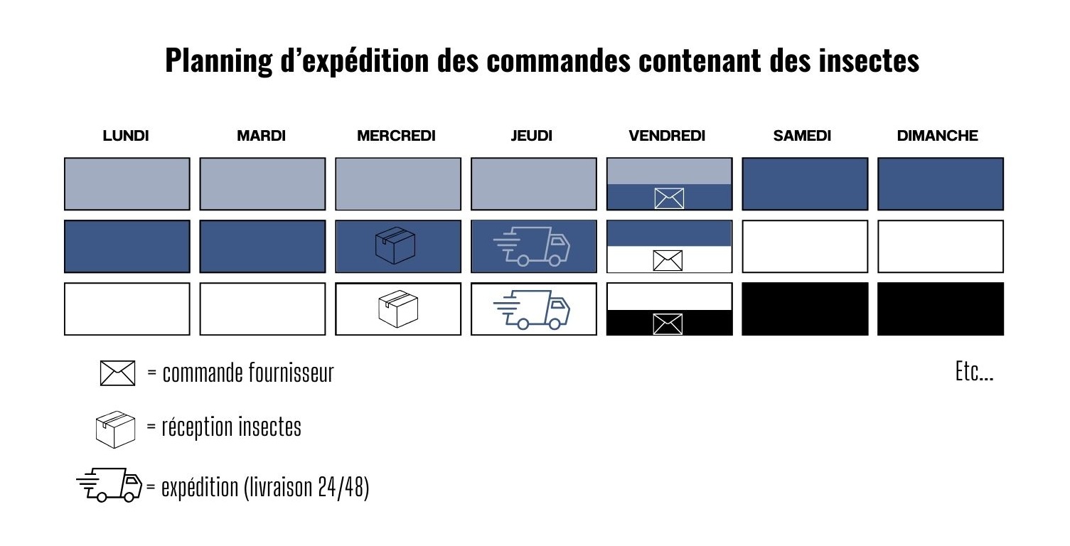 planning-expedition-commandes-insectes.jpg