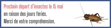 Infos-expe-insectes.jpg
