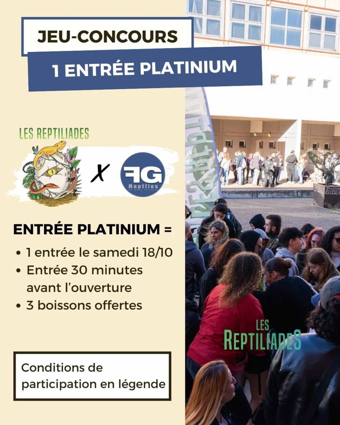 1 entrée Platinium pour Les Reptiliades de Nîmes le 18 octobre 2025 à gagner ! 

Qu’est-ce qu’une entrée Platinium ? 

🎟️ 1 entrée offerte le samedi 18 octobre

⏰​ Vous rentrez 30 minutes avant l’ouverture du salon

🥤​ 3 boissons offertes sur place

Comment participer ? 

S’abonner aux comptes Instagram @les_reptiliades + @fgreptiles

Passer une commande sur le site fgreptiles.eu et mettre en commentaire de votre commande “Reptiliades 2025”.

Pas de montant minimum de commande. Chaque commande passée augmente vos chances. Seules les commandes réglées sont prises en compte. 

🗓️​ Fin de participation le 12 octobre à minuit. 

Tirage au sort le 13 octobre. 

Toutes les commandes de réservation d’animaux ou matériel passées en retrait sur place pour Nîmes sont automatiquement prises en compte pour le tirage au sort. C’est également valable pour les commandes pour Nîmes passées avant cette annonce.

Bonne chance ! 🍀​

#concoursinstagram
#terrario #terrariophilie #reptiliades2025 #reptiliades #salonterrariophile #reptiles