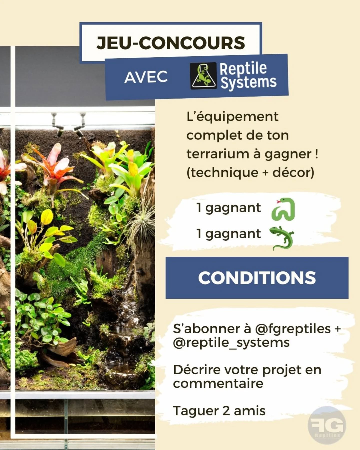 🎉 Concours : Équipez votre terrarium !

En partenariat avec Reptile Systems on vous offre tout le matériel pour finaliser votre projet de terrarium en cours !

2 gagnants tirés au sort : 

🐍 1 pour un projet serpent 

🦎 1 pour un projet lézard

🎁 À gagner : tout le nécessaire pour finaliser votre installation (hors terrarium, animaux et plantes) :
• Éclairage & chauffage offerts par Reptile Systems
• Substrat, cachettes, déco, fournis par nous !

📅 Date limite de participation : 17 juillet minuit

📅 Tirage au sort : 18 juillet

Pour participer :
1️⃣ Abonnez-vous à @fgreptiles et @reptile_systems
2️⃣ Décrivez votre projet et ce qu’il vous manque en commentaire
3️⃣ Taguez 2 amis passionnés de reptiles 🐍🦎

Augmentez vos chances en partageant le concours en story ! 

Bonne chance ! 🍀​

#concours #concoursinstagram #terrariophilie #reptilelover #reptilekeeper #snakelover #lizardlover