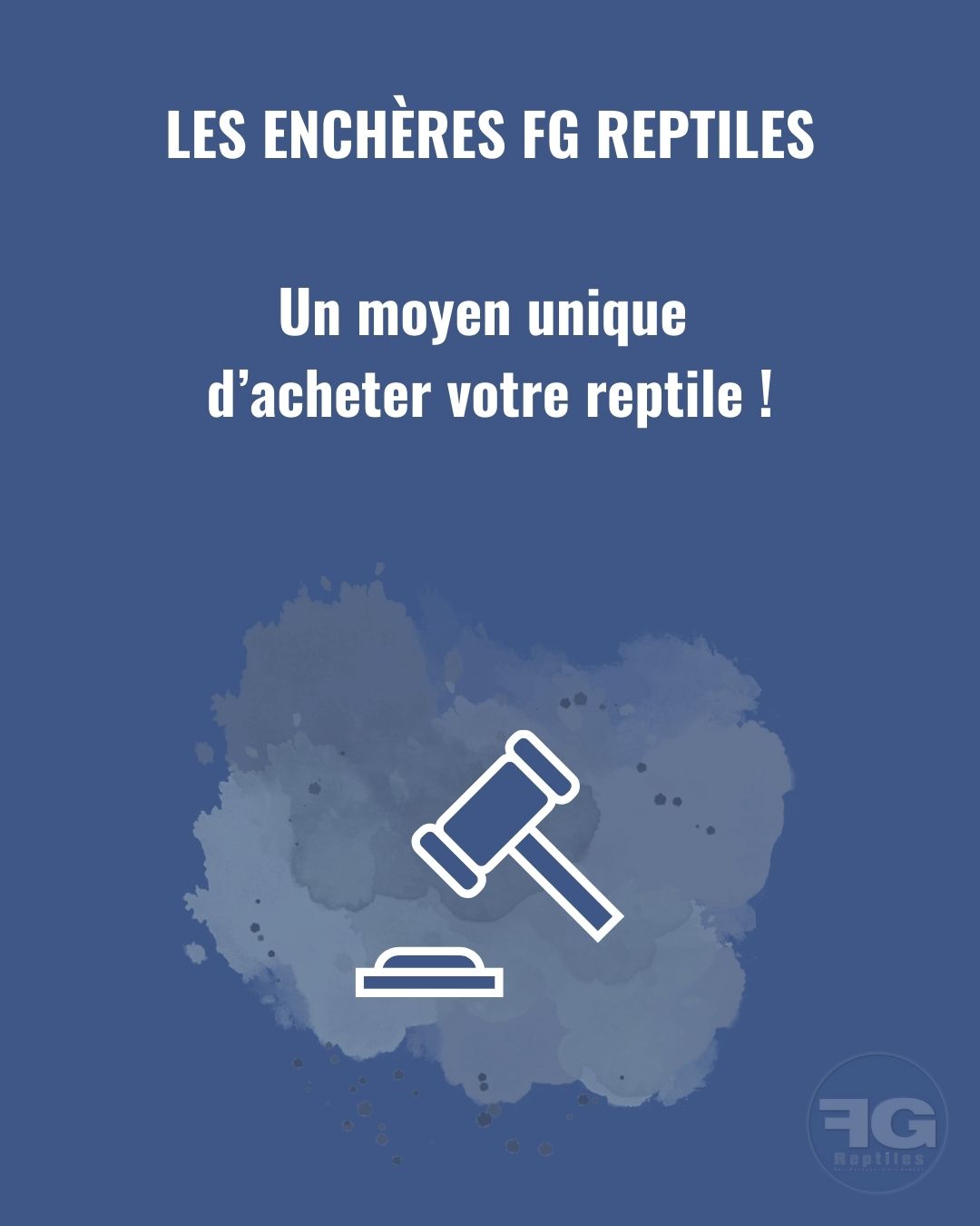 [Les enchères FG Reptiles] 
En exclusivité chez FG Reptiles, le retour de la vente aux enchères d’animaux ! C’est un moyen ludique d’acheter votre reptile, avec une chance de l’obtenir à petit prix 🤑​ 

Créez dès maintenant votre compte sur fgreptiles.eu pour être prêtes et prêts à enchérir le jour J, et suivez nos storys pour découvrir les animaux proposés ! 🐍​🦎​

Vous avez hâte de participer ? 😎​

#reptilelover #reptilebreeder #terrariophilie #allmymoneygoestoreptiles #fgreptiles
