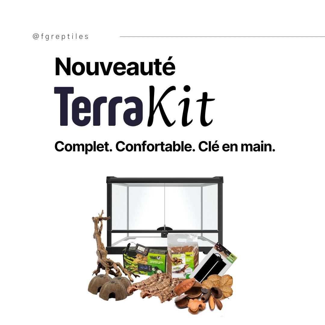 Nouveauté sur fgreptiles.eu ! 

Nous vous avons composé des packs de terrariums complets pour différentes espèces : les TerraKit ! Ils permettent d’accueillir rapidement, confortablement et à petit prix votre reptile ! 🐍​🦎​

Ils sont idéaux pour les débutants. Simples à choisir, vous n’avez rien à acheter en plus à part de l’alimentation. 

Un cadeau est caché dans la publication. Une réduction de 5% sur les TerraKit pour les 5 premiers les plus rapides à trouver le code promo ! 

Taguez des personnes que cela peut intéresser en commentaire ! Faites-nous également vos retours sur les TerraKit ! Est-ce qu’il vous paraît important d’inclure certains produits supplémentaires ? 

#terrarium #terrariophilie #reptiles #terrario